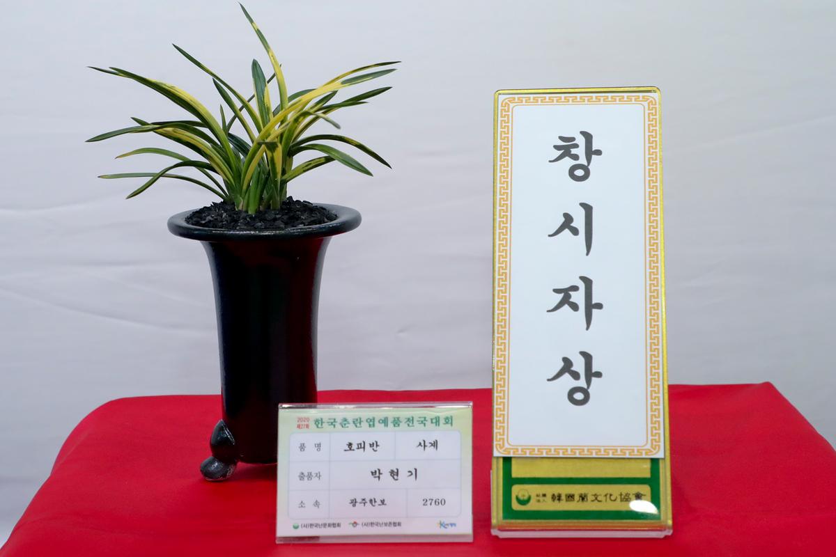 제27회 한국춘란 엽예품 전국대회 개회 및 시상
