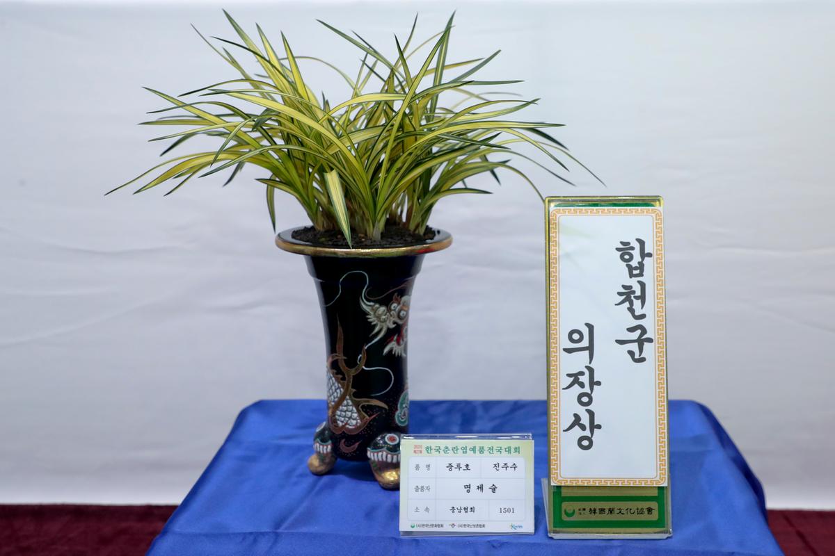 제27회 한국춘란 엽예품 전국대회 개회 및 시상