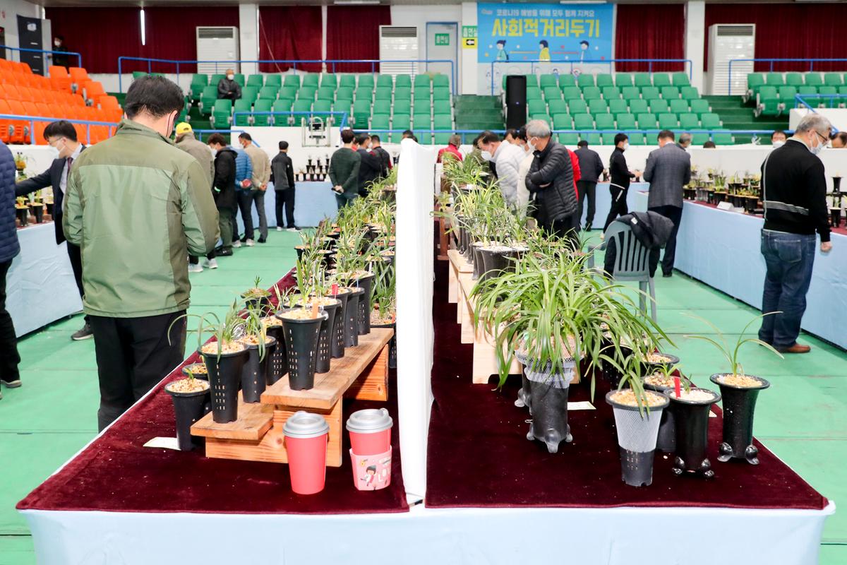 제27회 한국춘란 엽예품 전국대회 개회 및 시상
