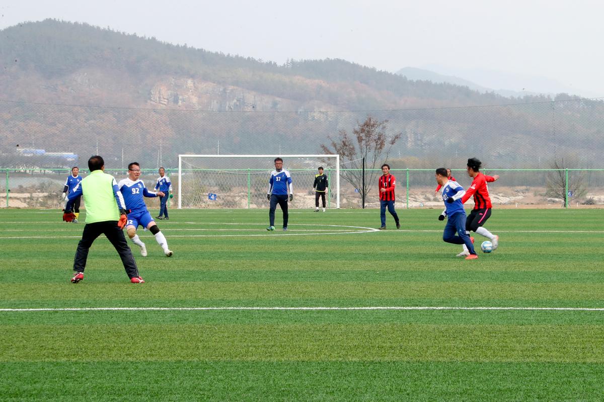 제14회 합천군 생활체육대회