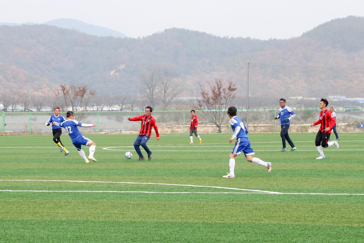 제14회 합천군 생활체육대회