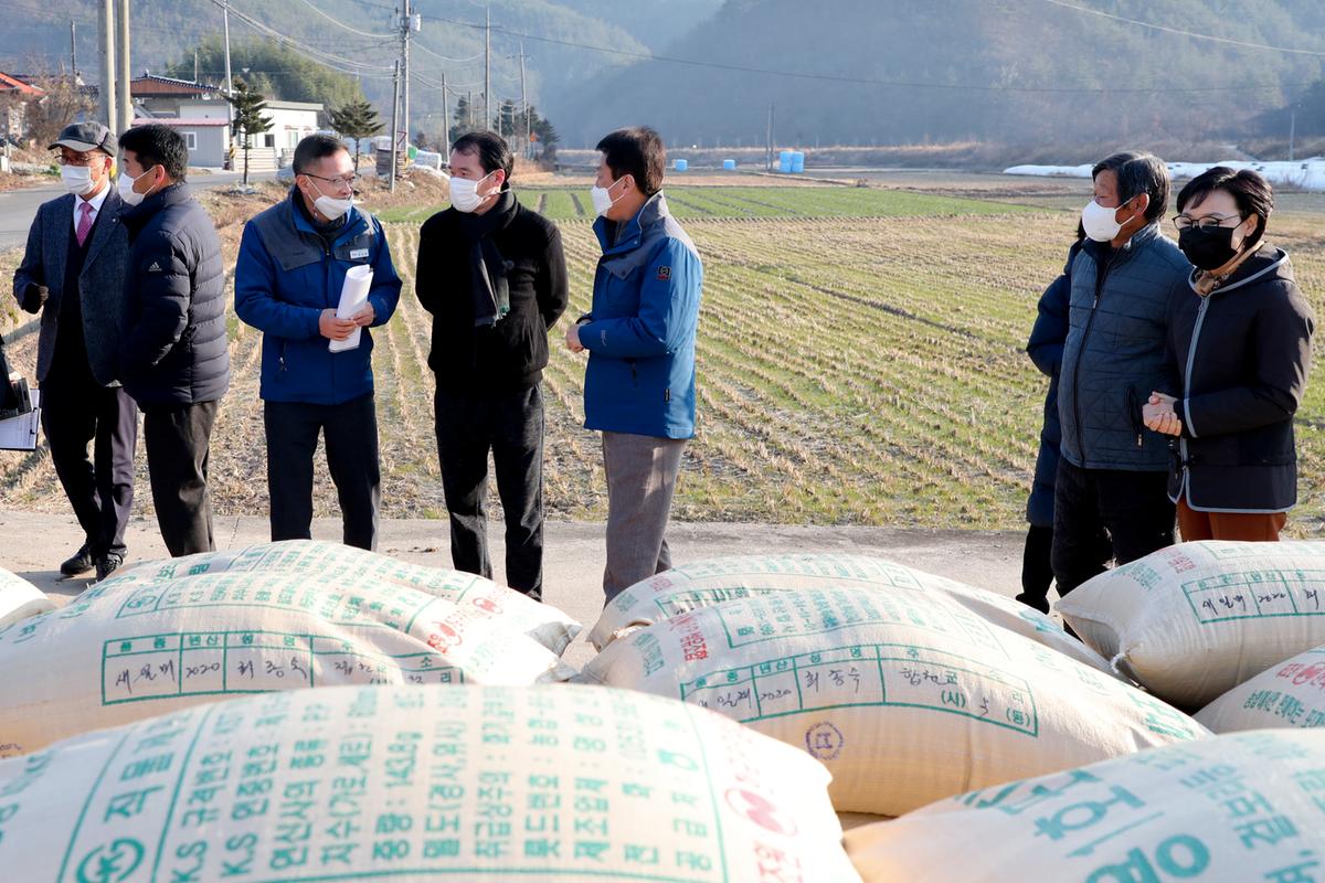 삼가면공공비축미 수매현장 방문
