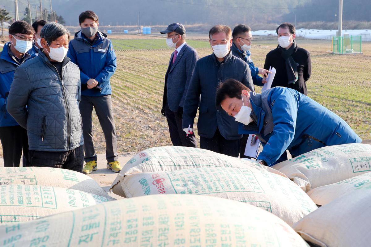 삼가면공공비축미 수매현장 방문