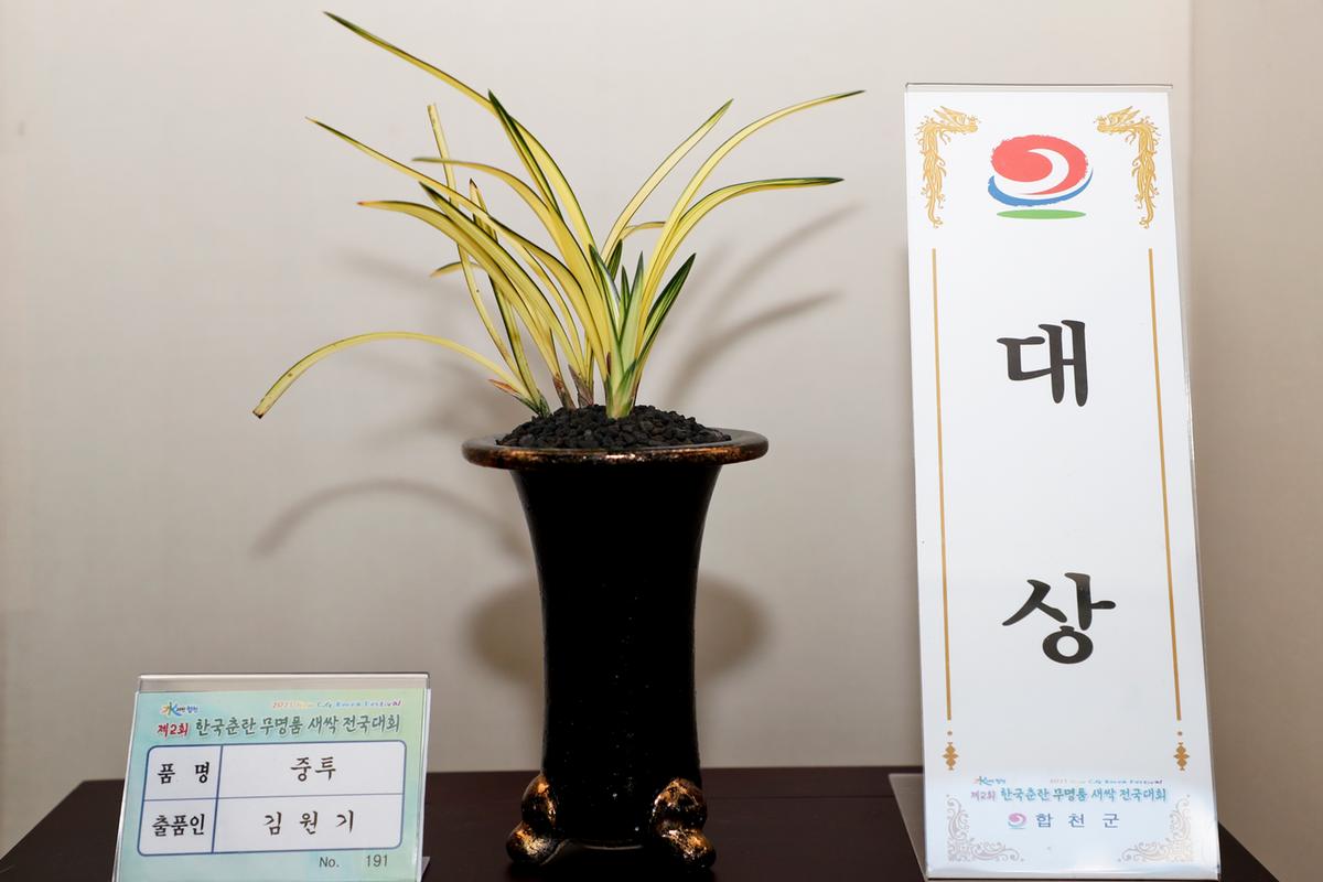 제2회 한국춘란 무명품 새싹 전국대회