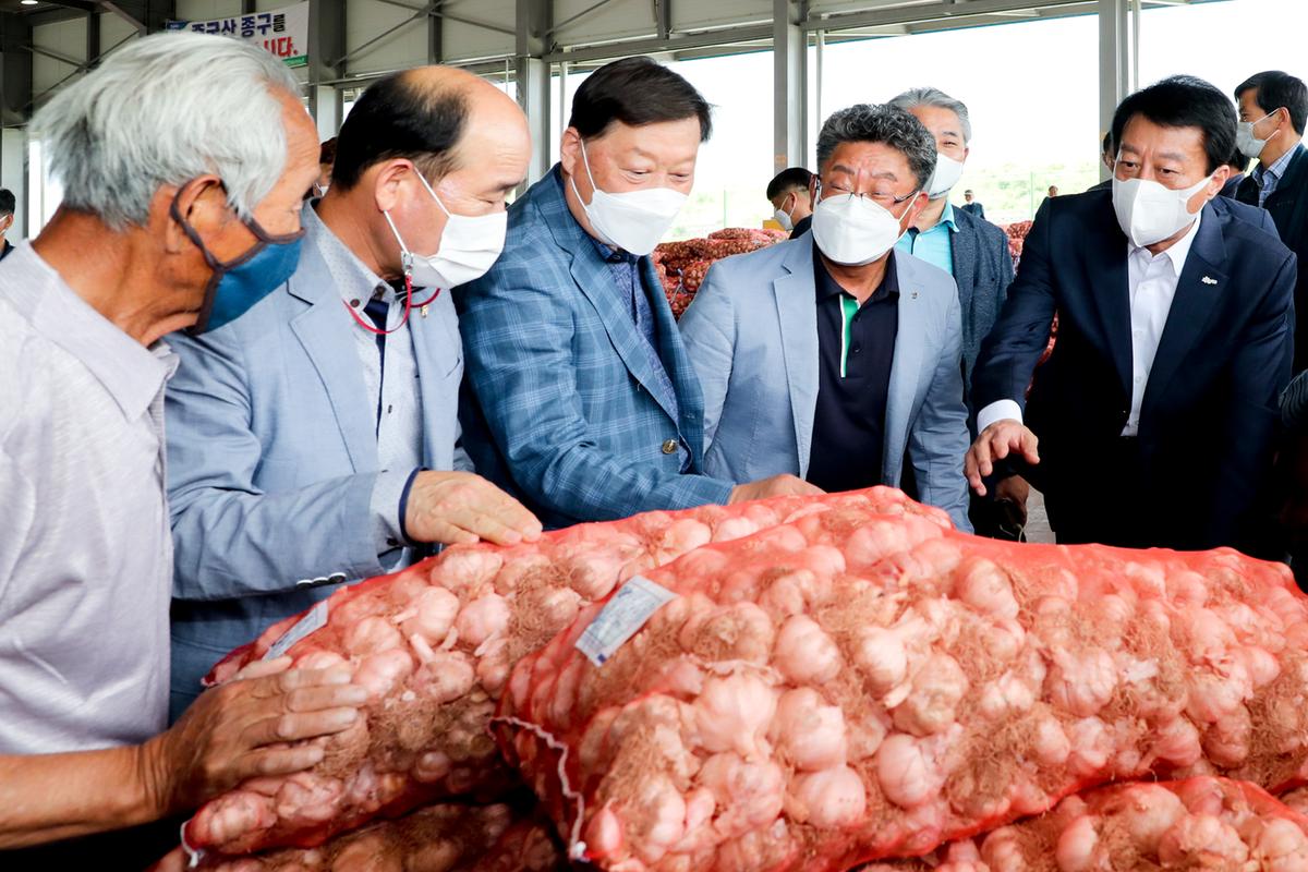 21년산 마늘 산지공판장 개설 초매식