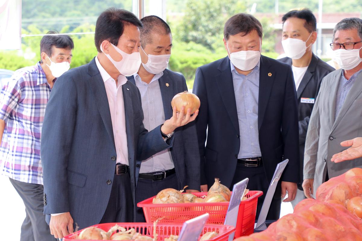 농촌지도자 합천군연합회 임원회의 및 양파품평회