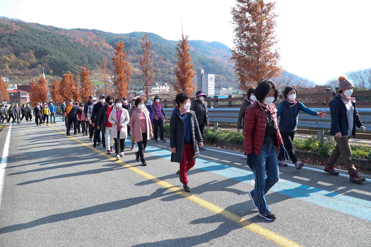 권역별 건강걷기 행사