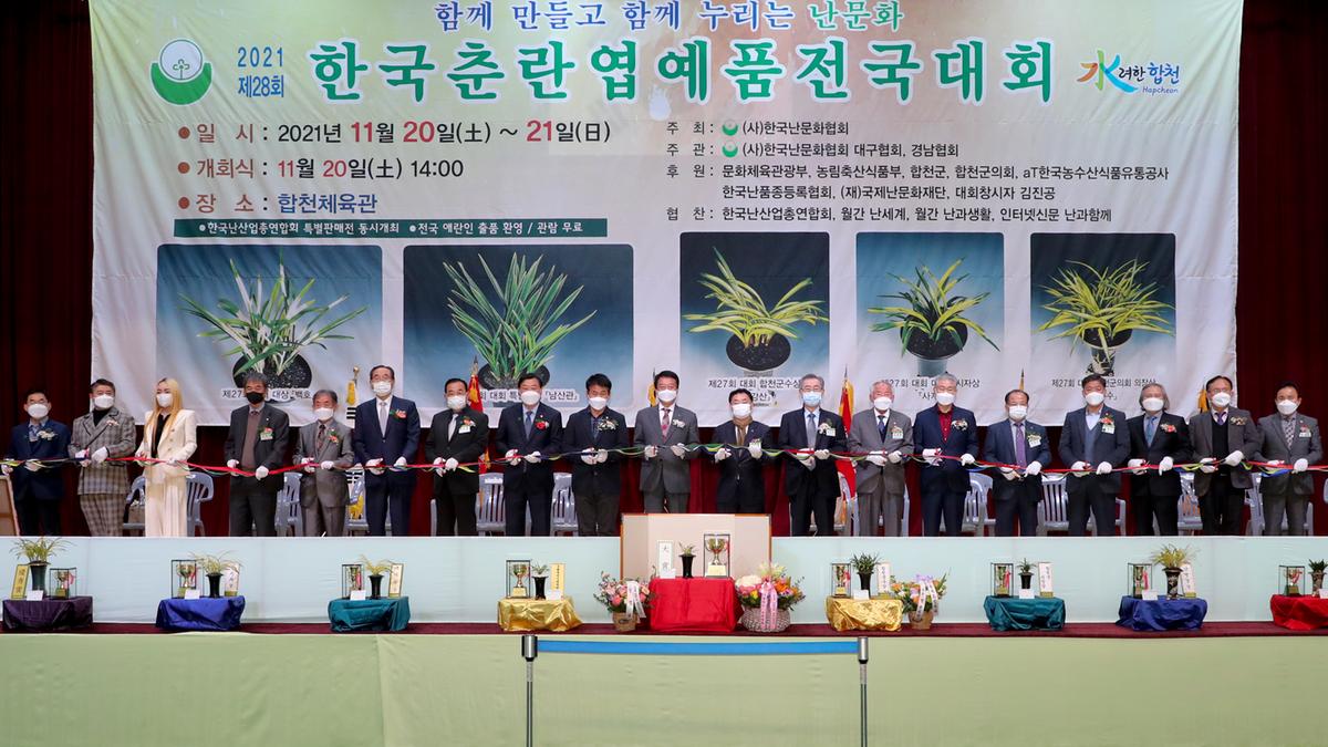 제28회 한국춘란 엽예품 전국대회
