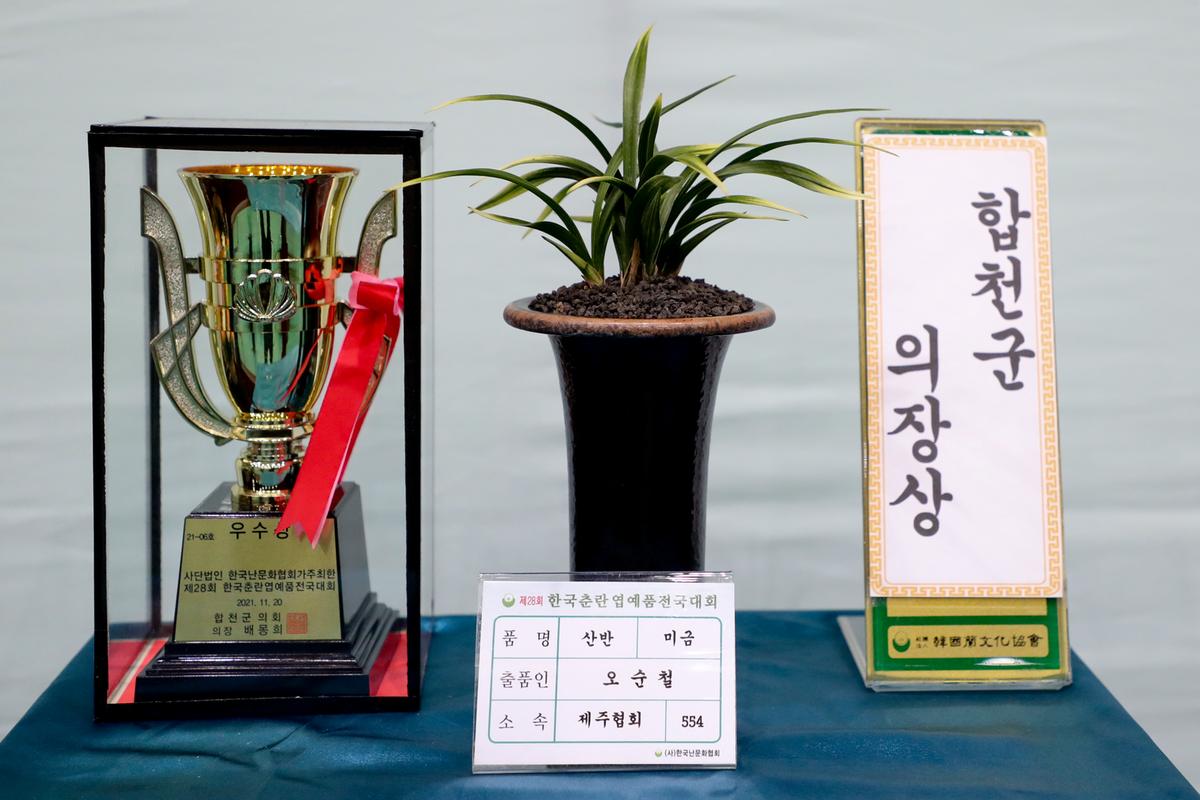제28회 한국춘란 엽예품 전국대회