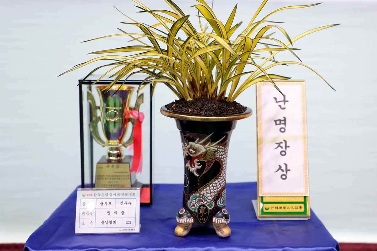 제28회 한국춘란 엽예품 전국대회