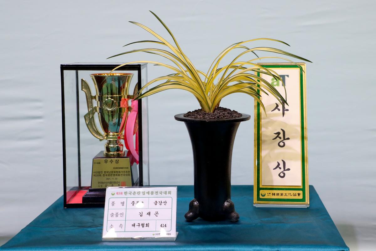 제28회 한국춘란 엽예품 전국대회
