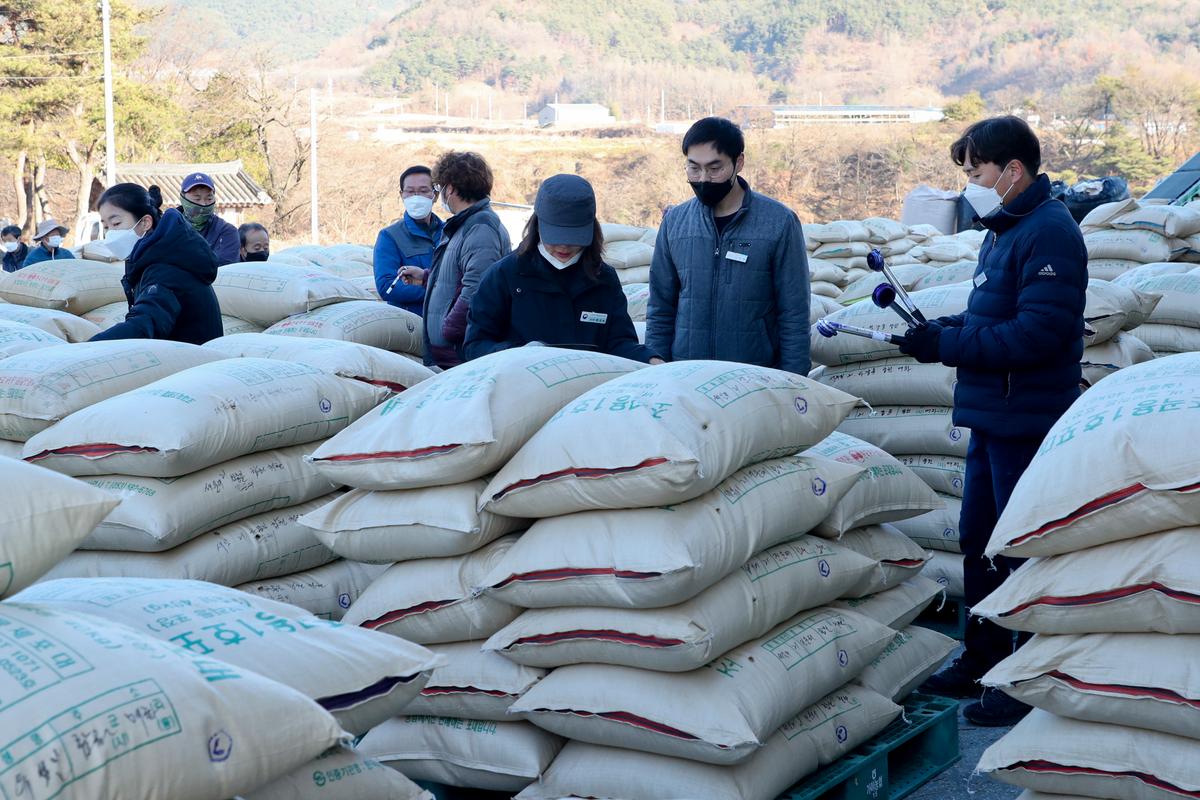 가야면 공공비축미곡 수매 현장 방문