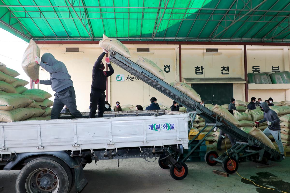 초계면2021년 공공비축미곡 수매 현장 방문