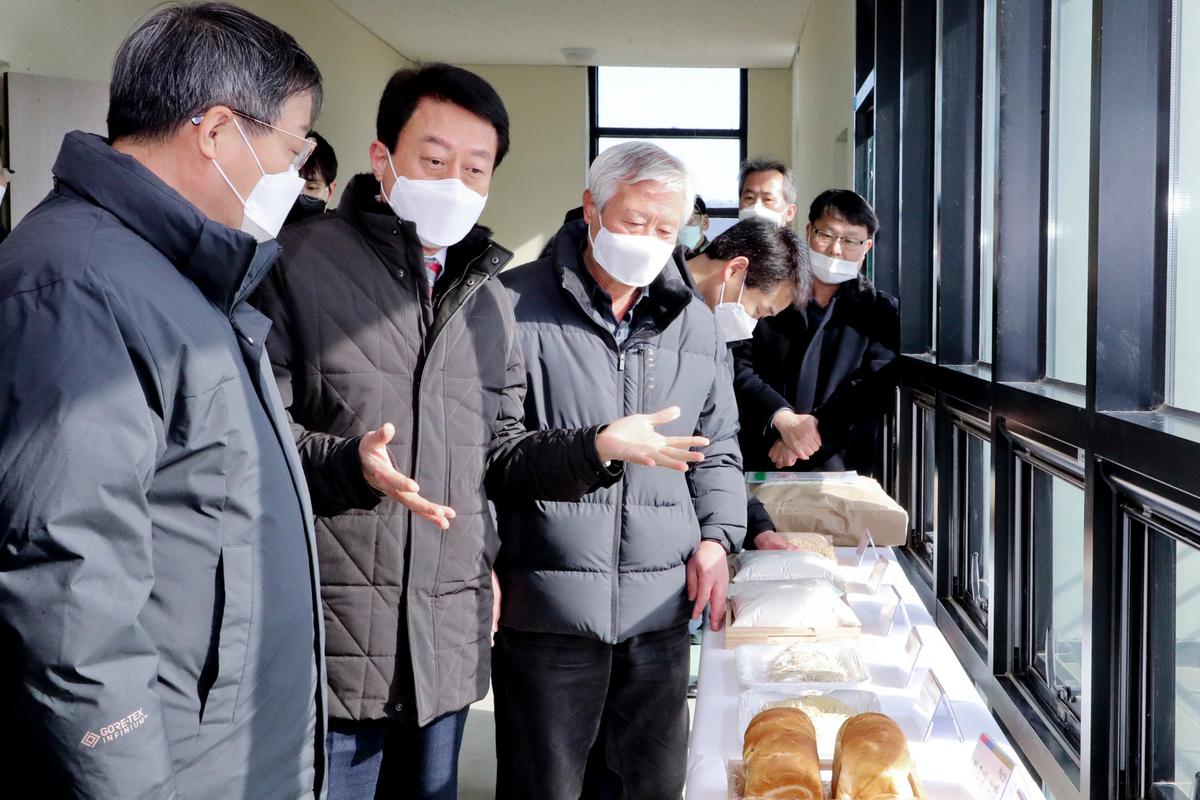 농촌진흥청장 우리밀 단지 재배현장 방문