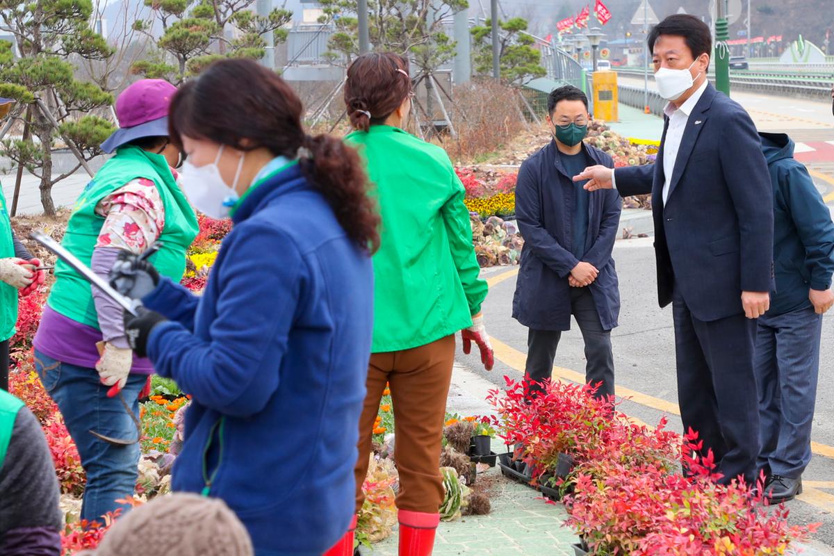 새마을운동 합천군지회 아름다운 합천가꾸기 봄꽃식재
