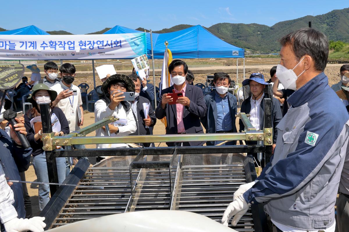 이선기 부군수, 촌진흥청차장, 기계화 마늘 수확작업 현장 방문