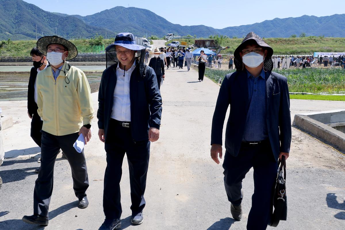 이선기 부군수, 촌진흥청차장, 기계화 마늘 수확작업 현장 방문