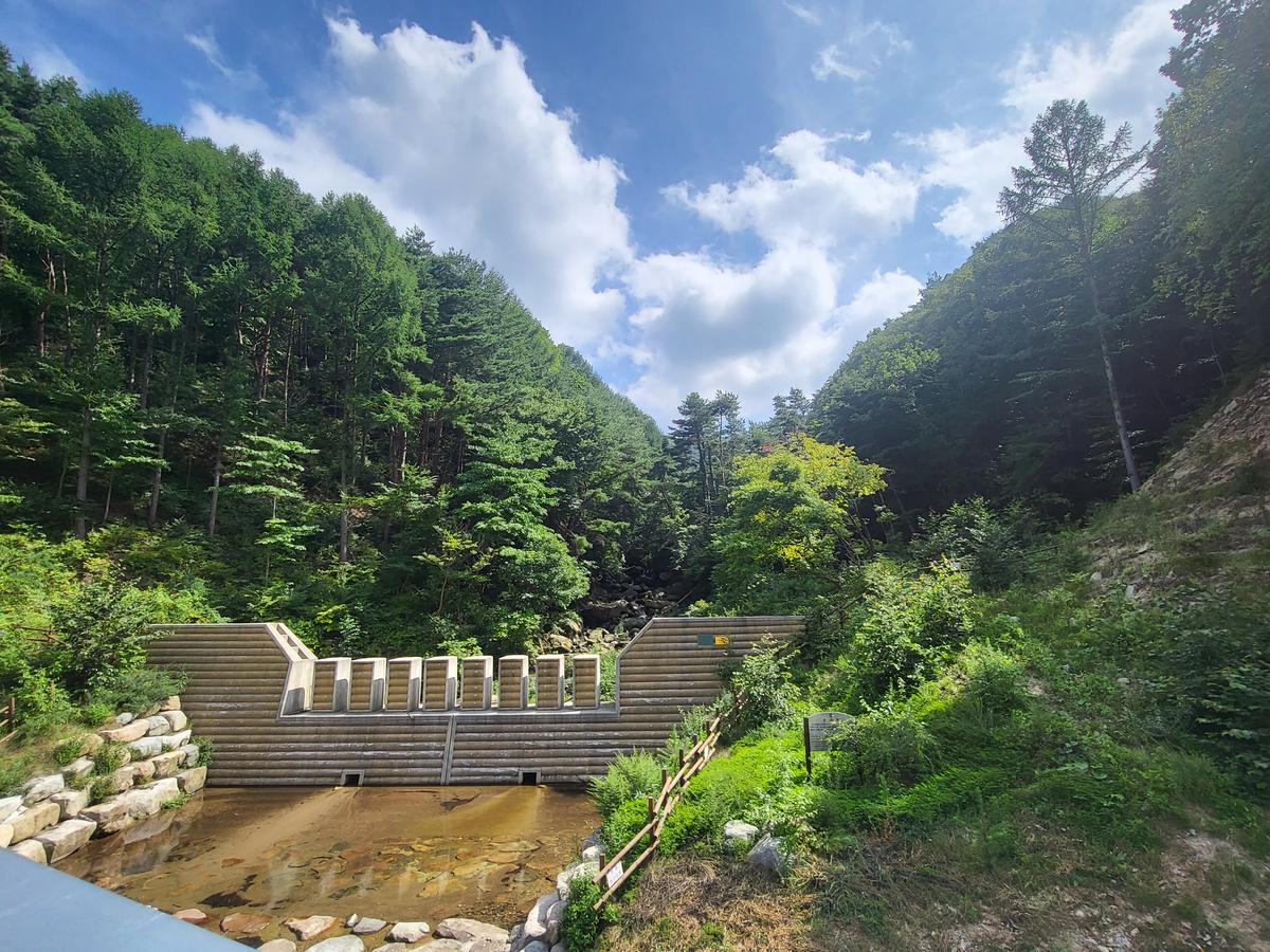 민선8기군수님읍면사무소방문