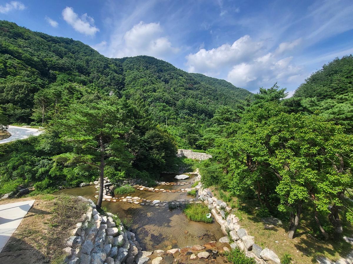 민선8기군수님읍면사무소방문