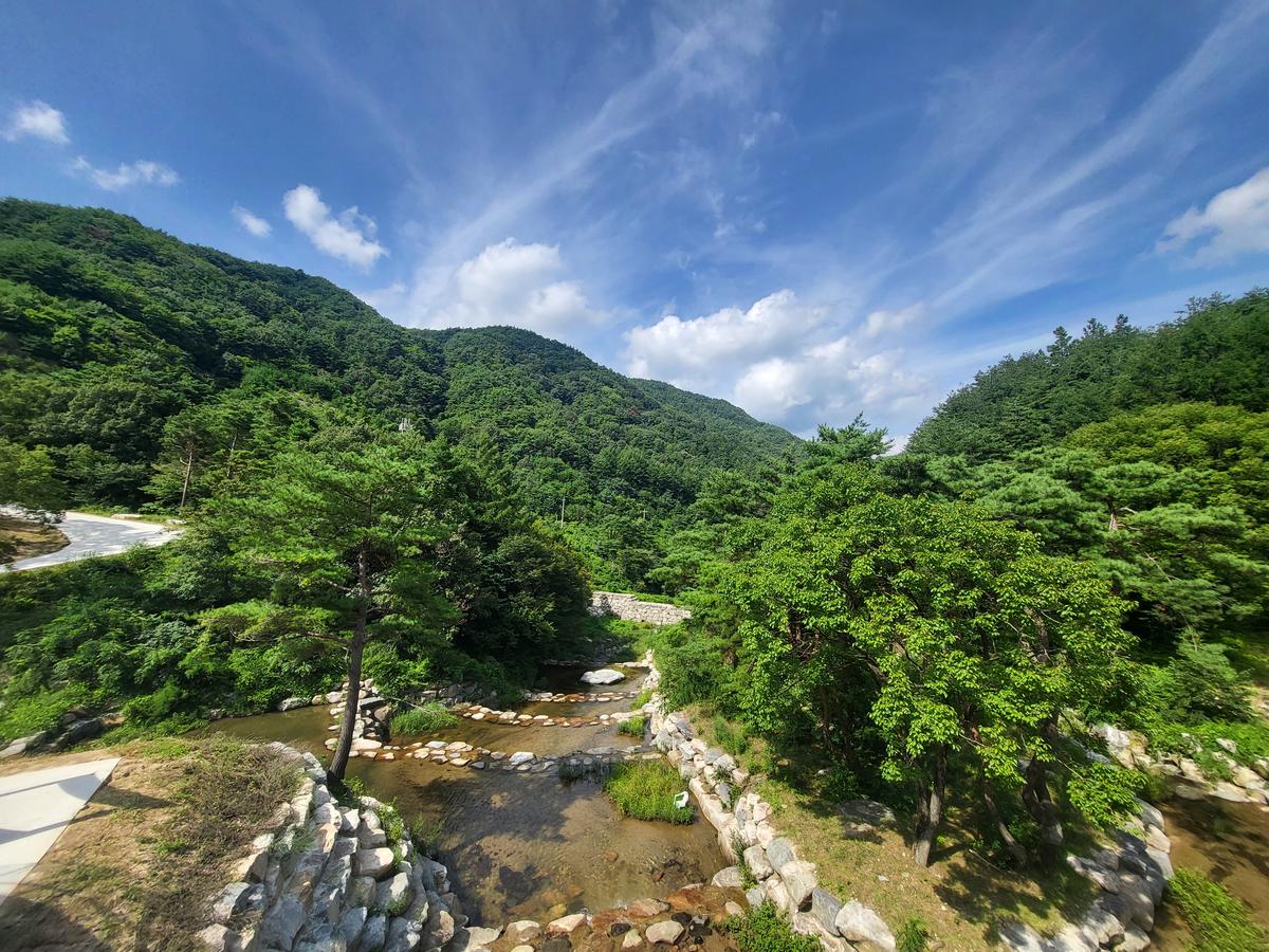 민선8기군수님읍면사무소방문