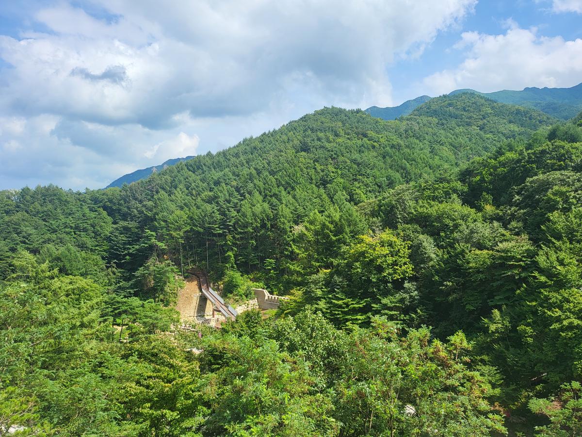 민선8기군수님읍면사무소방문
