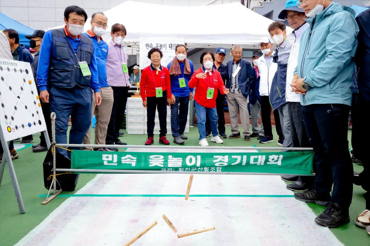 제33회 군민의 날 기념식 및 체육행사4