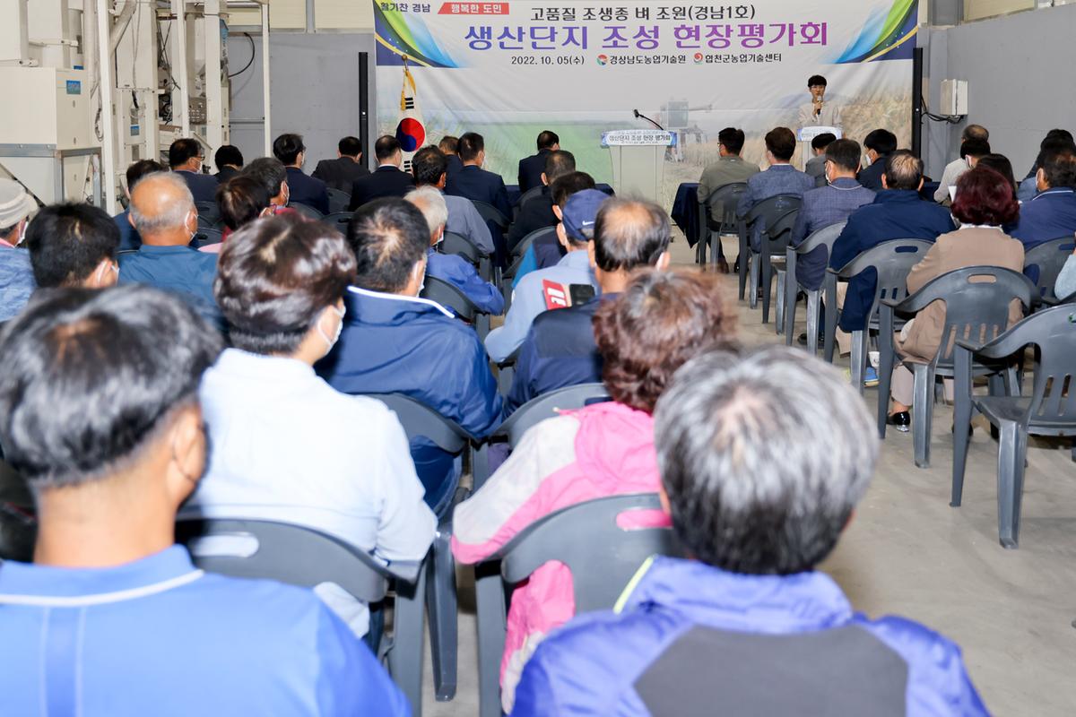 벼 품종 시범포 평가 및 수확 연시회