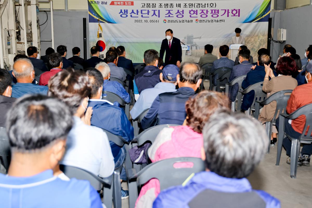 벼 품종 시범포 평가 및 수확 연시회