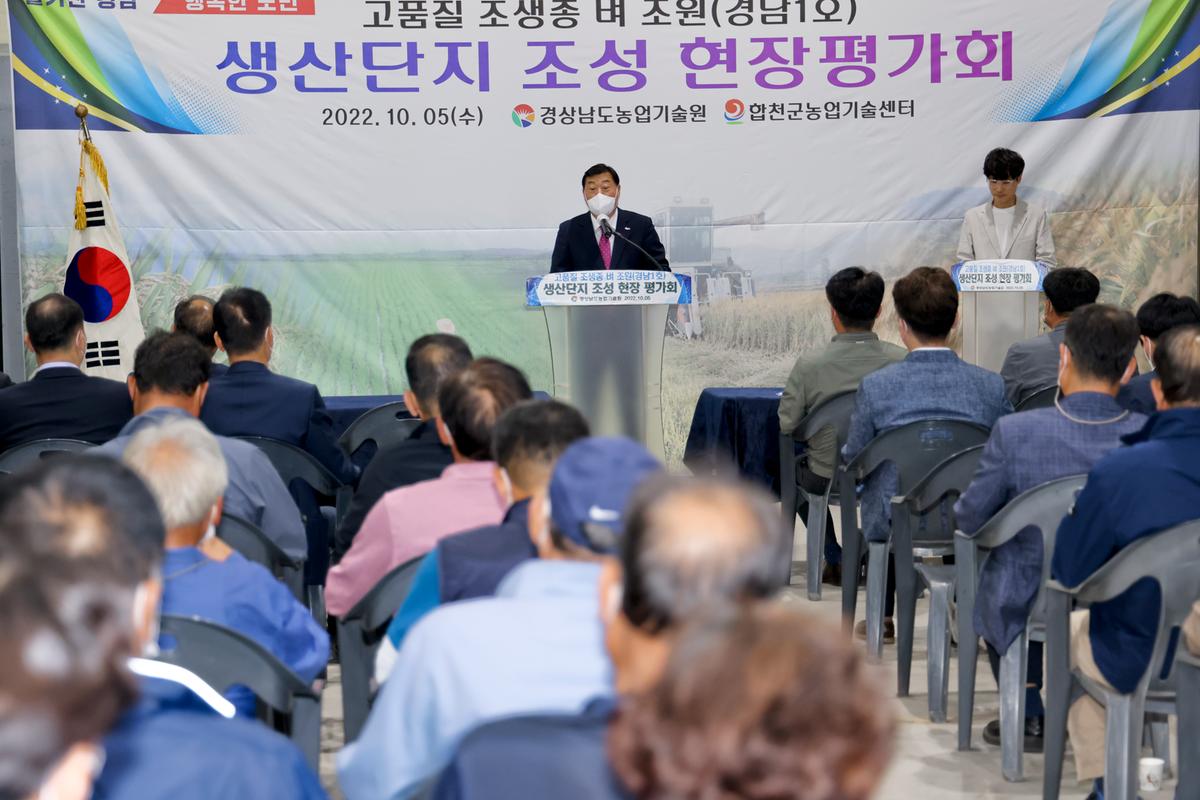 벼 품종 시범포 평가 및 수확 연시회