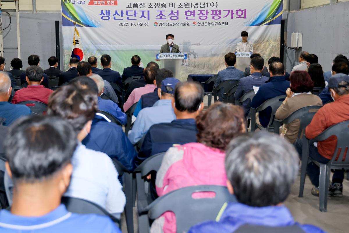 벼 품종 시범포 평가 및 수확 연시회