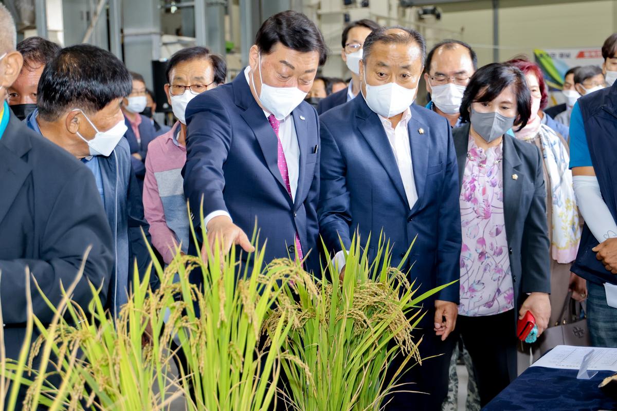 벼 품종 시범포 평가 및 수확 연시회