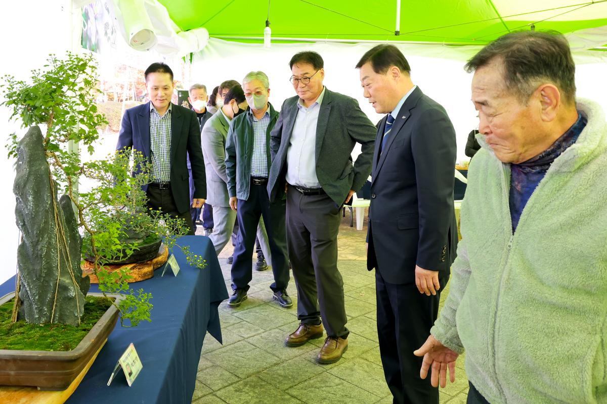 국화분재 전시회 관람