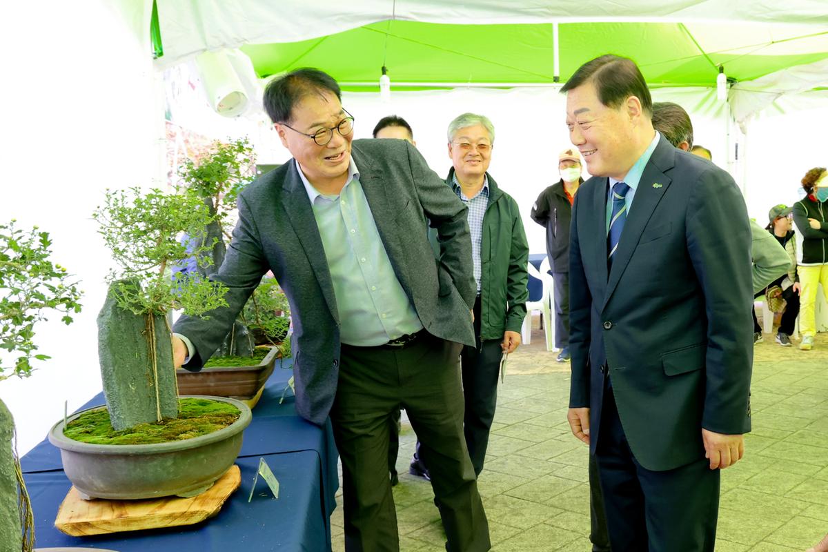 국화분재 전시회 관람
