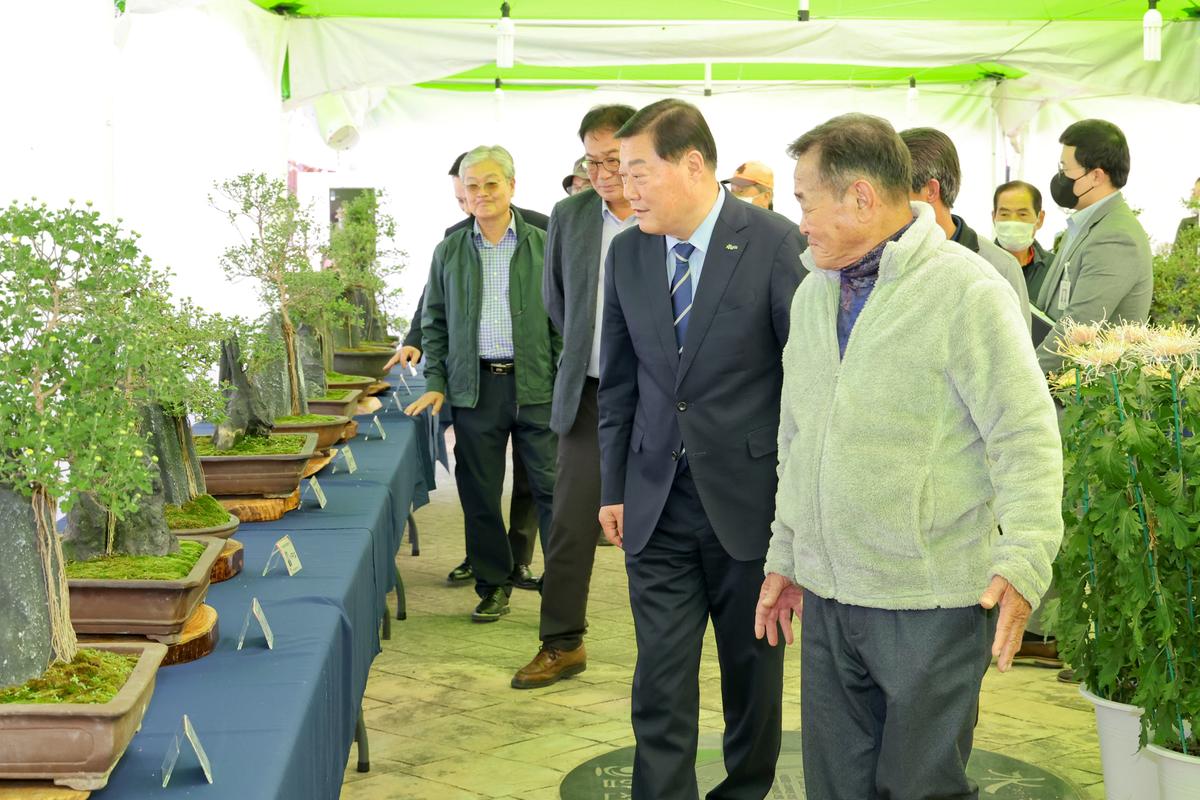 국화분재 전시회 관람