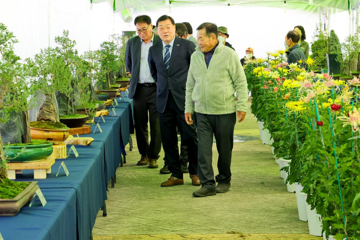 국화분재 전시회 관람