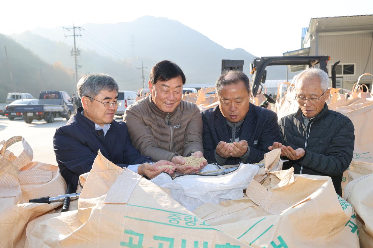 공공비축미곡 초매식