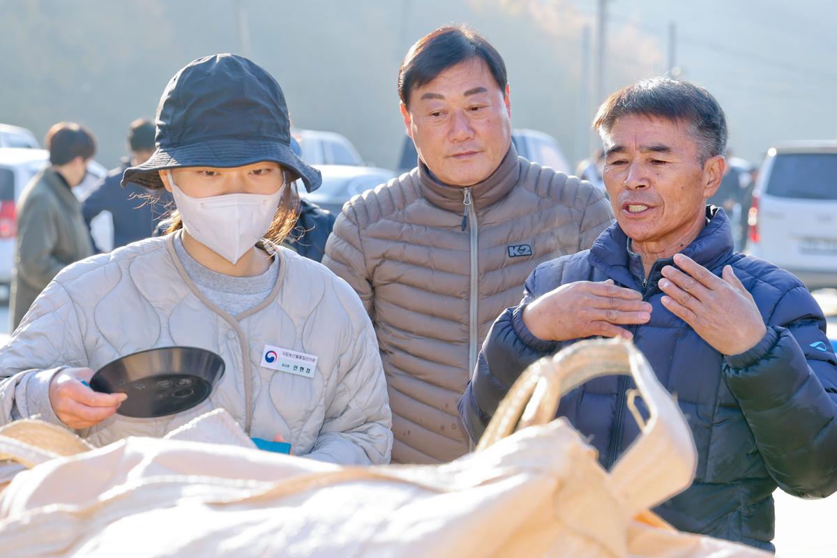 공공비축미곡 초매식