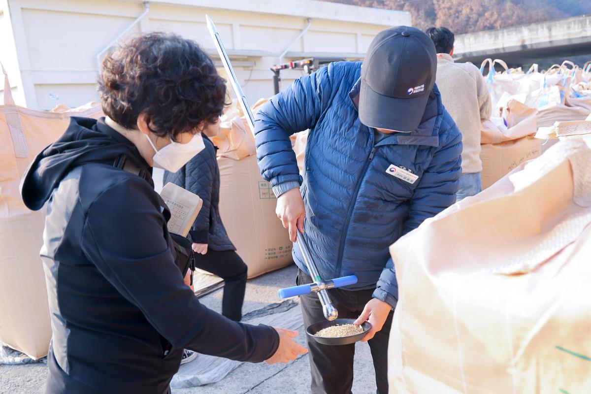 대양면 공공비축미곡 수매 현장 방문