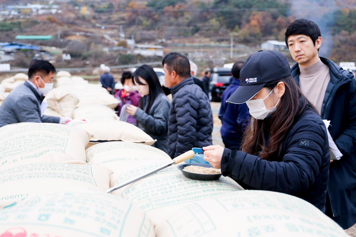 가야면 공공비축미곡 수매 현장 방문