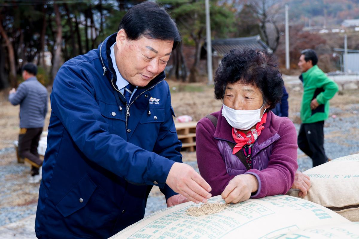 가야면 공공비축미곡 수매 현장 방문