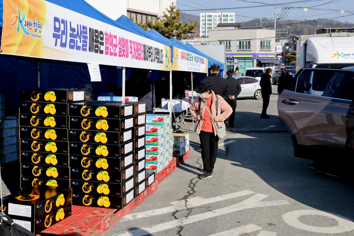 설맞이 합천군 특산물 직거래장터 (8)