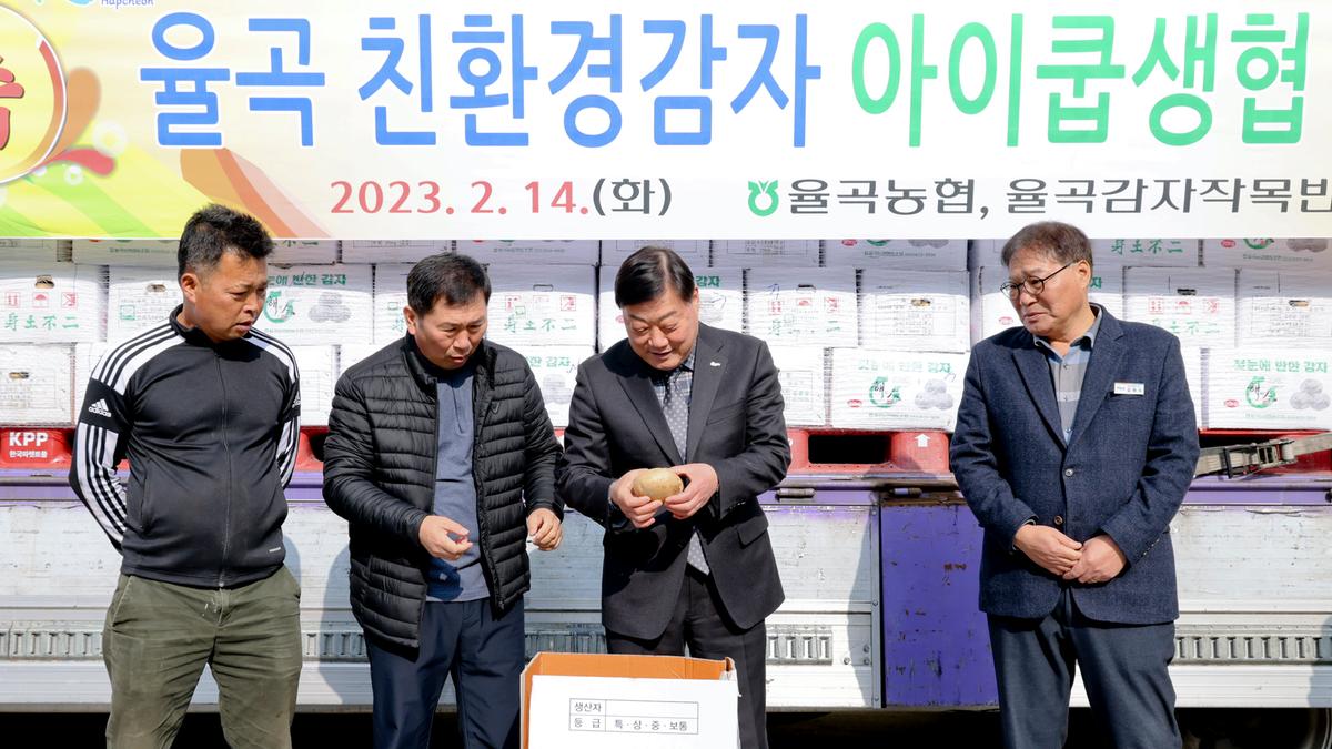 23년 친환경감자 첫 출하식
