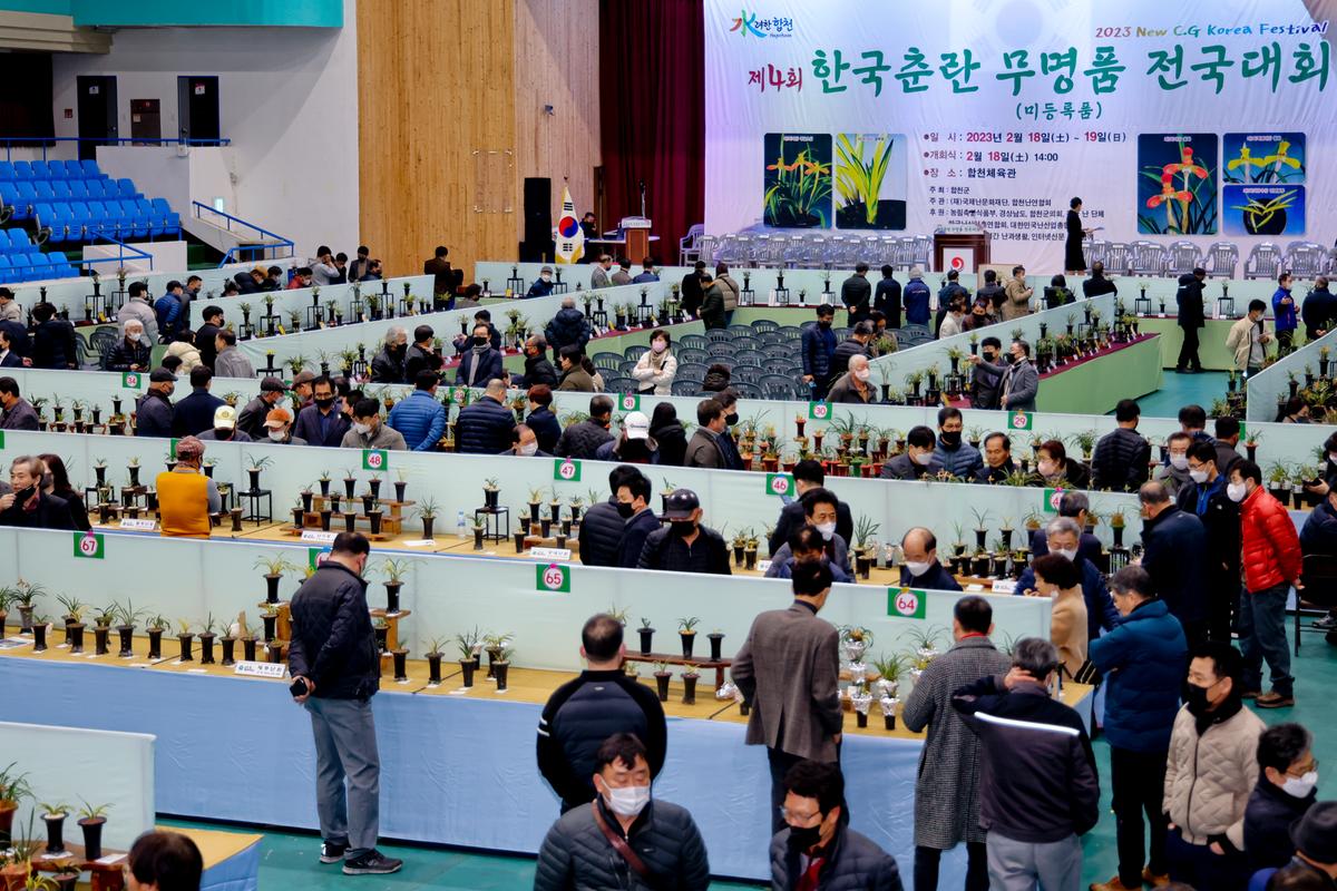 제4회 한국춘란 무명품(미등록품) 전국대회