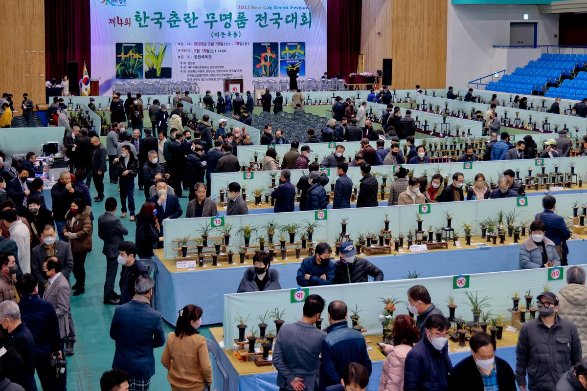 제4회 한국춘란 무명품(미등록품) 전국대회
