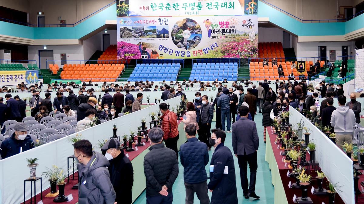제4회 한국춘란 무명품(미등록품) 전국대회