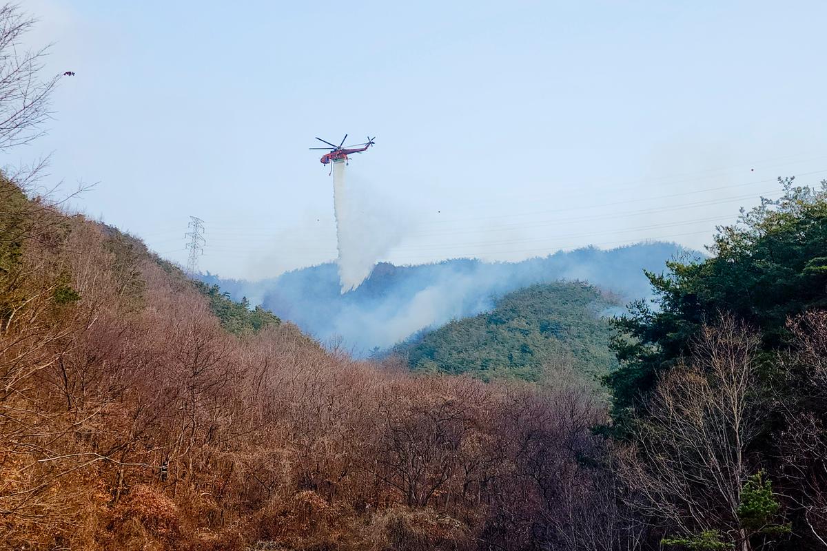 산불진화현장