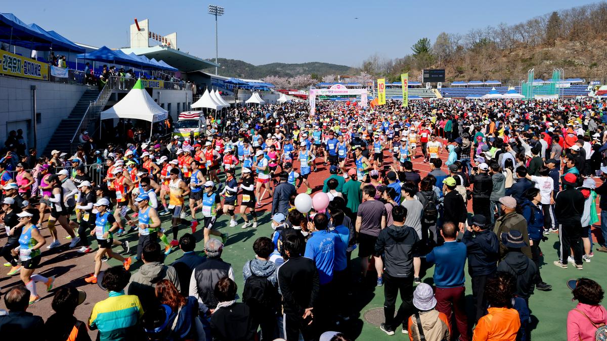 제22회 합천벚꽃마라톤 대회