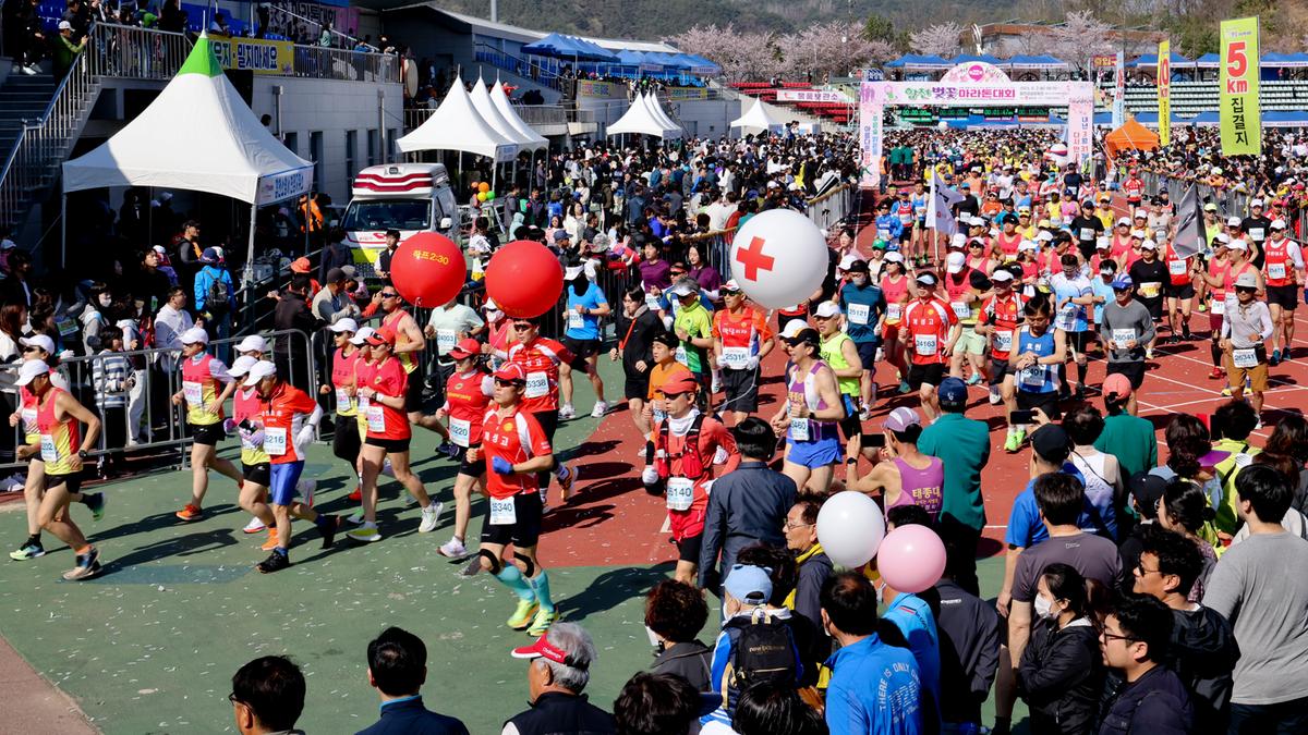 제22회 합천벚꽃마라톤 대회