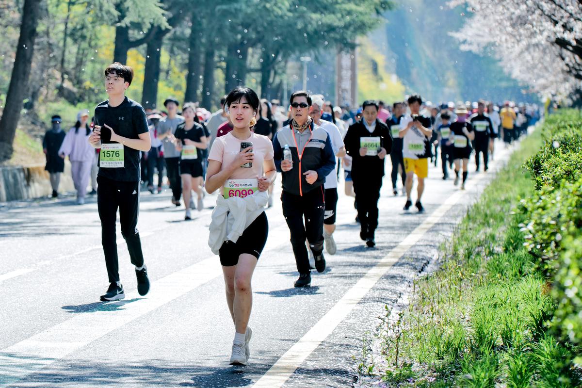 제22회 합천벚꽃마라톤 대회