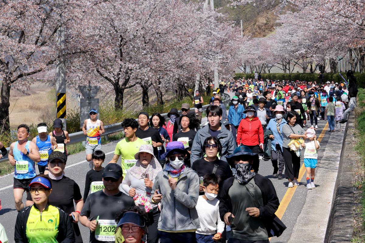 제22회 합천벚꽃마라톤 대회